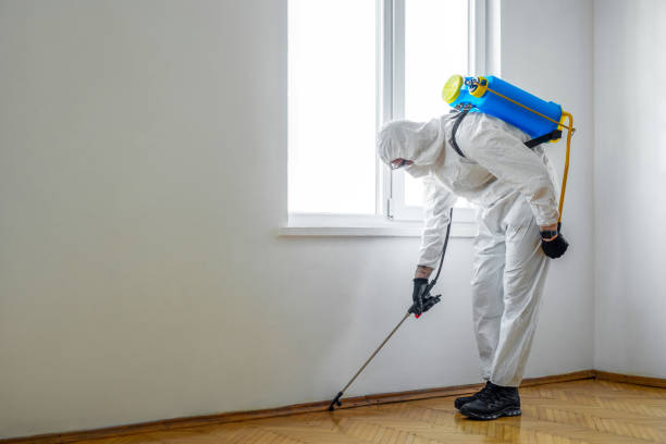 Professional Pest Control in Washougal, WA